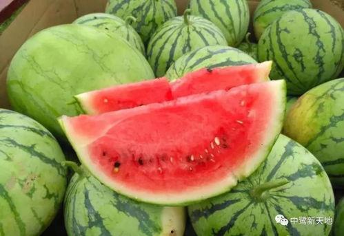 今日吃瓜每日吃瓜热门大瓜娱乐,娱乐圈风云再起，吃瓜群众热议不断  第2张