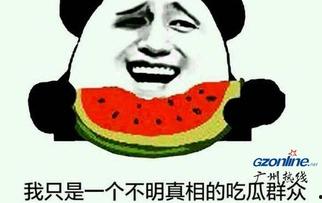 吃瓜啥意思网络用语,网络热词背后的文化现象 第3张 吃瓜啥意思网络用语,网络热词背后的文化现象 第3张