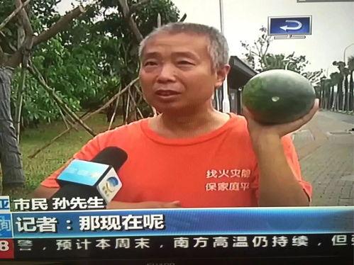 网络吃瓜事件,揭秘网络舆论的狂欢与反思  第2张